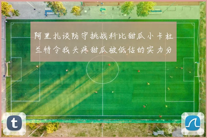 阿里扎谈防守挑战科比甜瓜小卡杜兰特令我头疼甜瓜被低估的实力分析