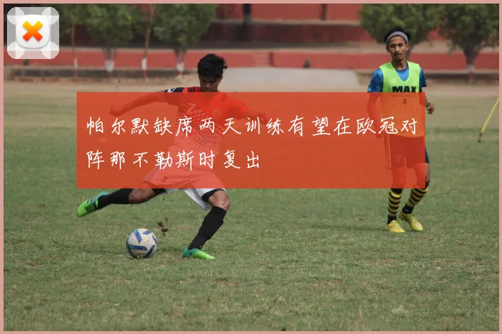 帕尔默缺席两天训练有望在欧冠对阵那不勒斯时复出
