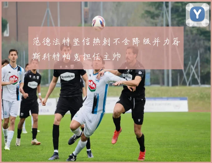 范德法特坚信热刺不会降级并力荐斯科特帕克担任主帅